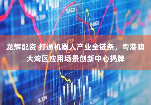 龙辉配资 打通机器人产业全链条，粤港澳大湾区应用场景创新中心揭牌